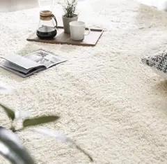 モダンデコ 100x140 マイクロファイバーシャギーラグ　アンティークホワイト