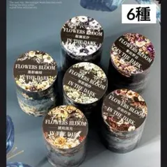 4u-9／コラージュ素材　マスキングテープ　海外マステ　まとめ売り　花