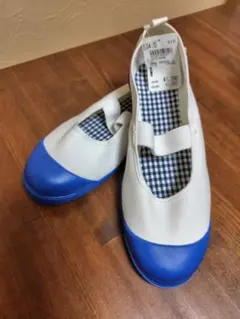 【24センチ】中敷きギンガムチェック上履き　青
