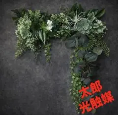 光触媒 人工観葉植物 ウォールグリーン フェイクグリーン クネクネ