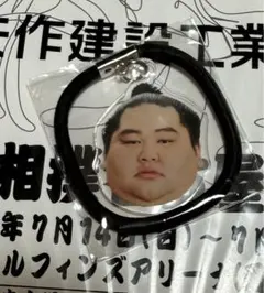 【最終値下げ】大相撲ガチャ フェイスヘアゴム 大奄美のサムネイル