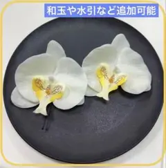 胡蝶蘭　結婚式　前撮り　髪飾り　振袖　成人式　七五三　卒業式　水引