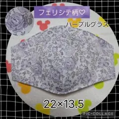 Item thumbnail for item 6275b255-b6bf-4116-9927-0f2374f5eeaa