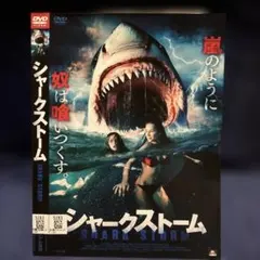 みー様 リクエスト 10点 まとめ商品