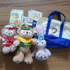 TDS限定　ダッフィー ＆フレンズぬいば　ストラップ、キーホルダー　おまとめ