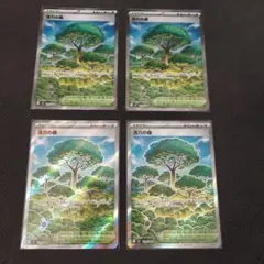 ポケモンカード　活力の森　SR