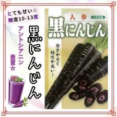 のの様 リクエスト 4点 まとめ商品