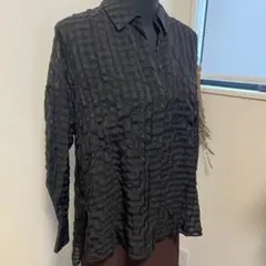 ZARA 黒いチェック柄長袖シャツ シアーシャツ