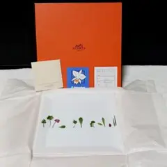 2026年最新】HERMES 皿の人気アイテム - メルカリ