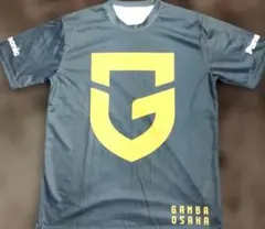 Item thumbnail for item bf526d26-bdfa-4be0-a6fb-3b4f3b866cd3