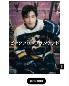 SEVENTEEN ウォヌ HOME
