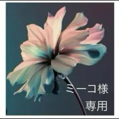 ミーコ様　専用