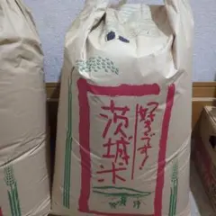新潟県長岡産】令和7年産コシヒカリ玄米24kg （100%単一原料米