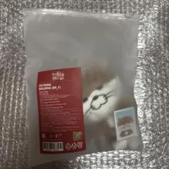 BOYNEXTDOOR ダーリン キーリング リウ プネクド