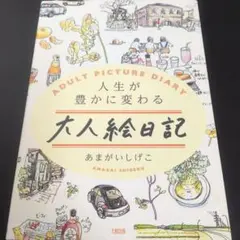 人生が豊かに変わる 大人絵日記