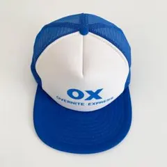 海外古着 プリント 企業物 メッシュキャップ トラッカー 帽子 配色 ブルー