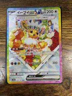 イーブイex SAR SV8a テラスタルフェスex 224/187