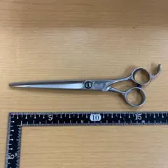 Item thumbnail for item db168fa3-5a67-4f6d-bf6a-3bbc564e7eff