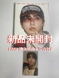 新品未開封⭐︎StrayKids SKZ KARMA accordion ハン