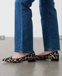 流れ星さま⭐︎ルタロンGRISE ポインテッドチュールフラットシューズ24.5