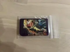 ポケモンフレンダ ルカリオ ゲームカード