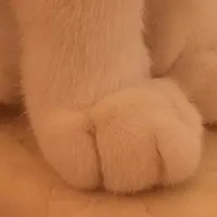 ☆マカロニ様専用☆