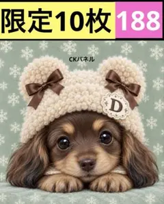 限定10枚！　レアパネル生地　無くなり次第終了です　6犬種パネル
