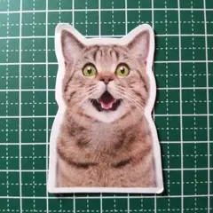 防水ステッカー　猫　動物　かわいい　おもしろグッズ　J-066