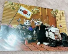 Melon様 リクエスト 2点 まとめ商品