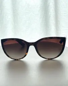 Ray-Ban レイバン サングラス EMMA RB4167のサムネイル
