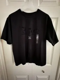 Item thumbnail for item 7a6d0ebc-0f40-4a90-b627-121d038a4ab7