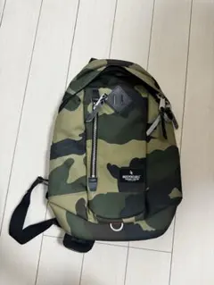 Item thumbnail for item bc5c9ba8-1769-4add-a3bb-e16c18cd1e9f