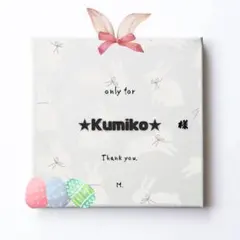 ★Kumiko★様専用୨୧