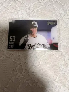 宜保翔　アクリルカード　コロチャレ　オリックス