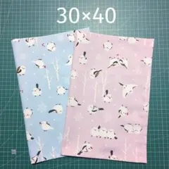 ランチマット 30×40 2枚組 シマエナガ 薄ブルー＆薄ピンク