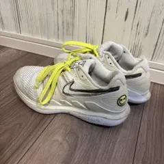 Item thumbnail for item 8a1c3828-6cbe-431d-8bdb-bf517a310368