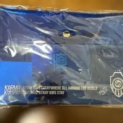 新品未開封 スキズ KARMA PVCpouch スンミン straykids