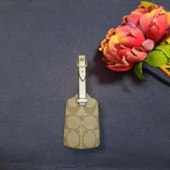 Item thumbnail for item b617f264-aa9d-449f-97a3-f013fcff8d3e