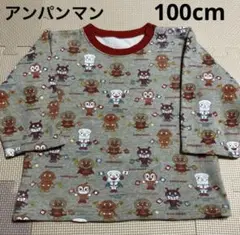 アンパンマン　トレーナー　裏起毛　100cm
