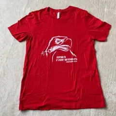Iowa Fireworks Company レッド Tシャツ Mサイズ
