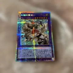 大輪の霊使い プリズマティックシークレット プリシク アジア - メルカリ