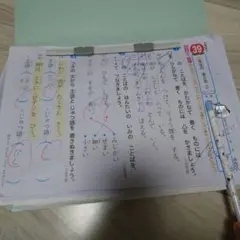 小学2年生　問題集　国語 　二年　テスト対策