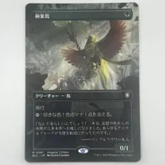 Item thumbnail for item 244e6126-dd2b-4f05-8b87-69fc2f585b8a