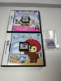 DSソフトきれいずきん生活2 3DSソフト箱無し びっくり!とびだす!魔法のペン