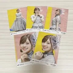 乃木坂46 白石麻衣 しあわせの保護色 生写真 5種コンプ - メルカリ