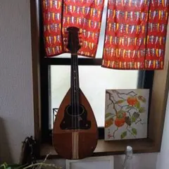 Item thumbnail for item 7644a3d5-47da-46d5-8f60-b729a4c9f42d