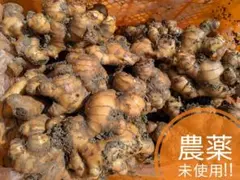 専用出品です。農薬不使用　ひね生姜 専用出品 農薬不使用 ひね生姜5kg - メルカリ