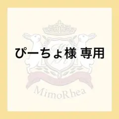 ぴーちょ様 専用