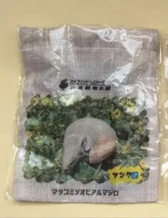 Item thumbnail for item 0aca13e6-505f-444a-812f-56f4f212a00e