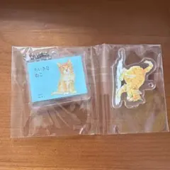 こどものとも　アクリルキーホルダー ちいさなねこ
